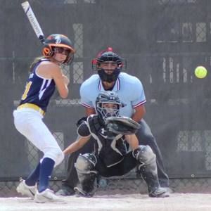 Meet your Posher, Dennis